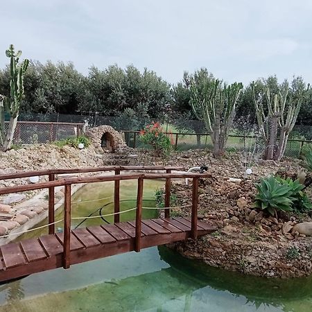 Villa Michelangelo Castellammare del Golfo Zewnętrze zdjęcie